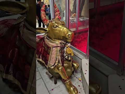 ##status of bhole baba ji##๐๐๐๐โค๏ธโค๏ธโค๏ธโค๏ธ๐น๐น๐น๐น๐๐##har har mahadev##๐๐๐๐โค๏ธโค๏ธโค๏ธโค๏ธ๐น๐น๐น๐น๐๐