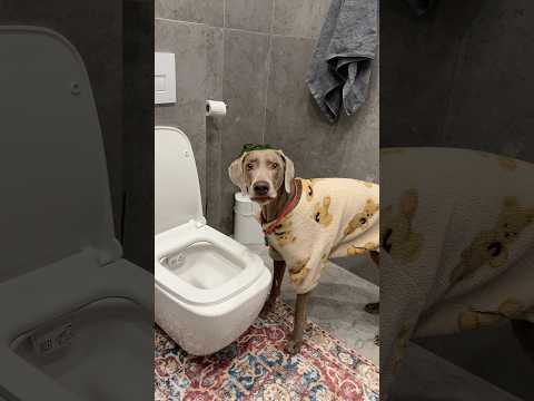 ОСКАР ПЬЕТ ИЗ ТОЛЧКА 🤮