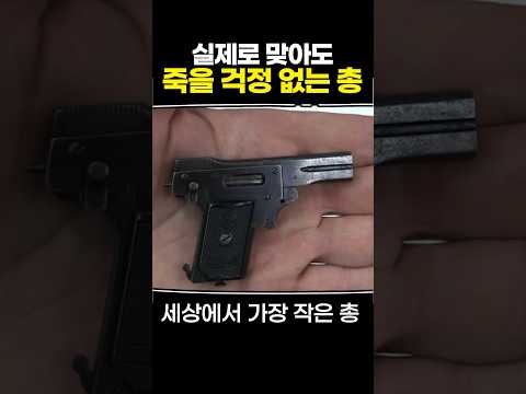 실제로 맞아도 죽을 걱정 없는 총