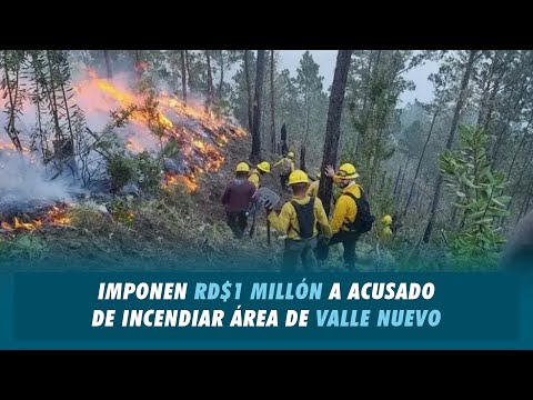 Imponen RD$1 millón a acusado de incendiar área de Valle Nuevo | Matinal