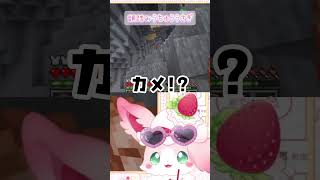 マイクラに愛されしいきもの#もふちゅ大佐 #vtuber #いちプロ #マイクラ #新人vtuber