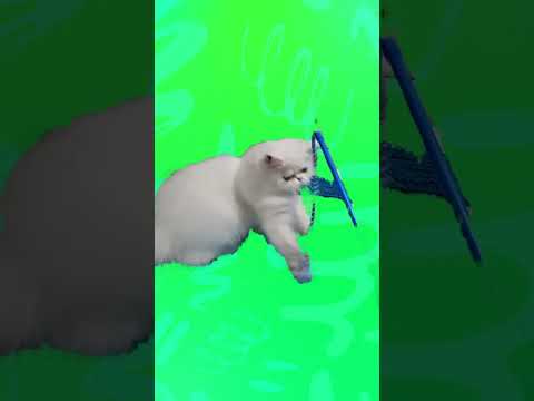 Feeding Time !!! is live!