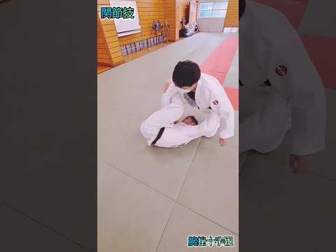 【柔道関節技】回転腕挫十字固🥋#judo #shorts