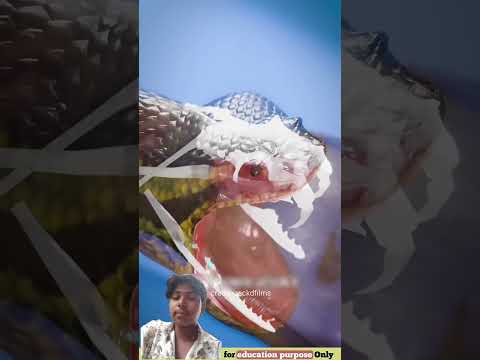 Hansraj ki comedy video #facts aaj raat ki comedy video #funnyscene #funnycomme