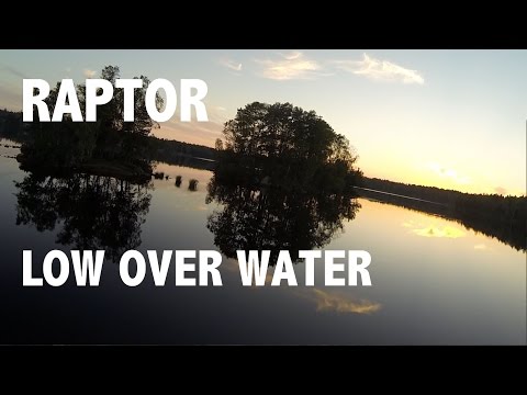 Raptor -  Low over water - UCALbFhp7YhbitOkg11LS2cg