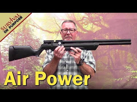Air Venturi Avenger PCP Air Rifle Review