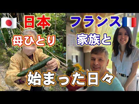 🇨🇵涙で戻ったフランス🇯🇵母は日本で独りに、孫が家族を繋ぐ【国際結婚•家族の記録】