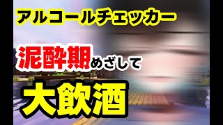 【MINECRAFT】アルコールチェッカーを使って数値を狙え！泥酔チャレンジマイクラ【鬼頭みさき/ぶいぱい】