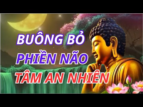 Giữ Tâm Bình Thản Vượt Khổ Đau – Bí Quyết An Lạc Giữa Đời | CUỘC SỐNG SUY NGẪM