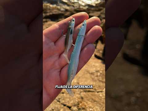 Este VINILO es una BOMBA 💥🎣 ||MICRO-Happy Eel de Ykr Fishing