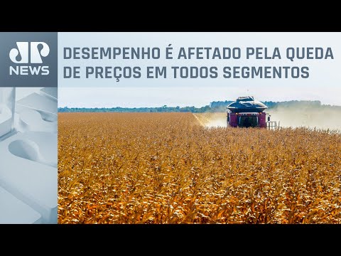 PIB do agronegócio fecha 2023 com retração de 2,99%