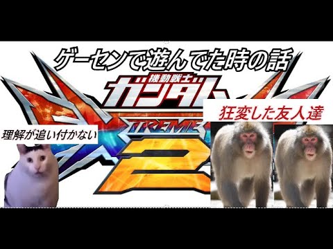 【猫ミーム】ゲーセンで遊んでた時の話