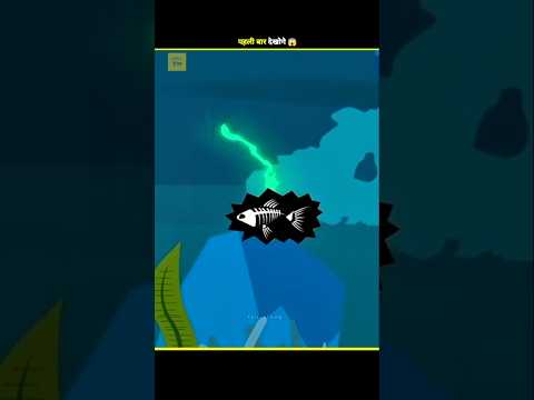 This is What Lightning Does to Fish in Water! 🌊⚡