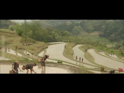 Con đường khó khăn nhất trên thế gian này chính là con đường của trái tim