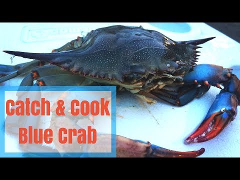 Catch & Cook Blue Crab - How to Keep Crab Meat Fresh for Days