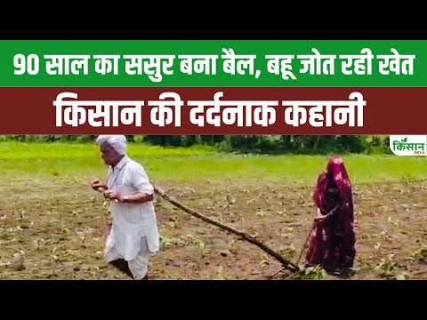 90 साल के किसान की ये कहानी आपके रौंगटे खड़े कर देगी, जब बहु के साथ खुद बैल बनकर निकल पड़ा खेतो में