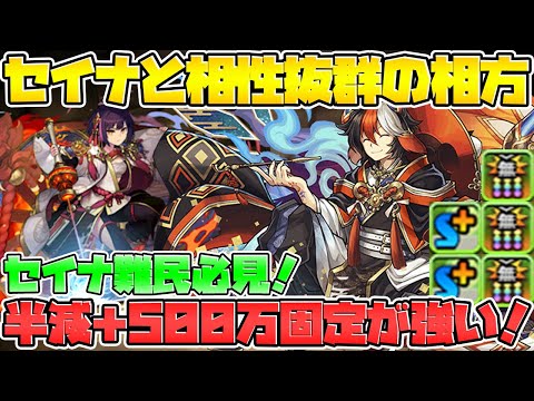 最強リーダーの代用！強化されたスオウ×セイナPTが相性いいぞ！【パズドラ】