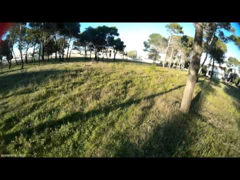 zmr 250 in pineta - UCVjBYE_SND2FsuvEEIw6ImA