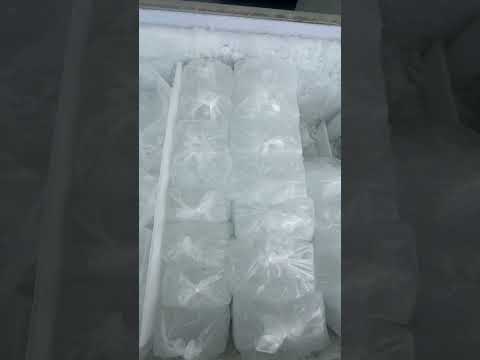 6月梅雨時期の魚冷却、常識を覆す！真水氷より「海水氷」が断然ベストな理由
