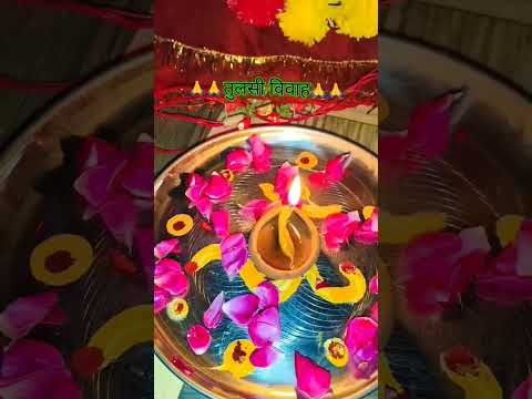 तुलसी विवाह 🙏🌺#bhakti #vrindavan #radharani #radheshyaam #viral #shorts #ytshorts#tulsivivah