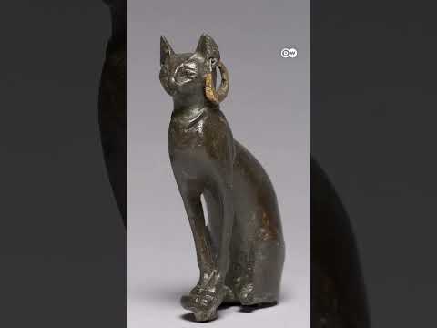 इतिहास में कैसे बदली बिल्लियों की भूमिका [From wildcat to catfluencers: Role of cats in history]