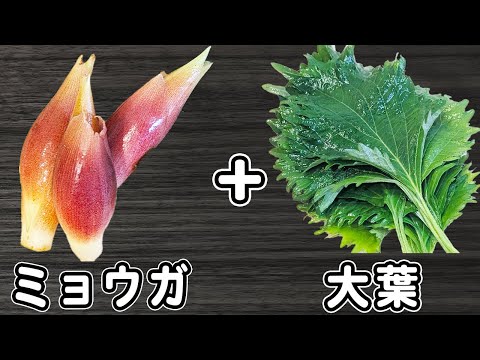 【ミョウガと大葉のレシピ3品】簡単なのに箸が止まらない程美味しい料理　夏野菜大量消費　お手軽副菜の作り方