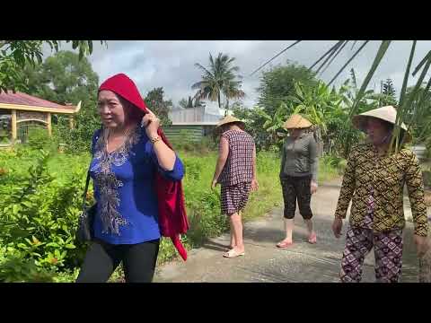 quê tôi những ngày mưa bão nấu nồi cháo gà trộn cây chuối non