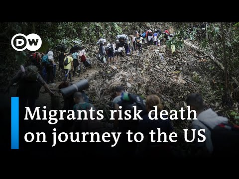 Human Rights Watch: Colombia and Panama failing migrants crossing Darien Gap | DW News