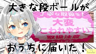 【#手元開封配信 】大変こわれやすいようです！！中身はなんだろなんだろ【 ＃新人になりたいVtuber】