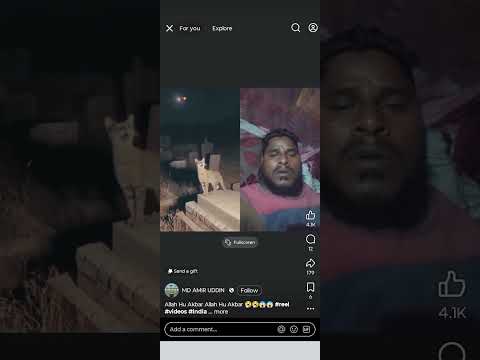 कब्र पर बिल्ली अ जान दे रही है