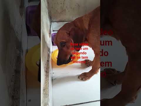 27 de outubro de 2025