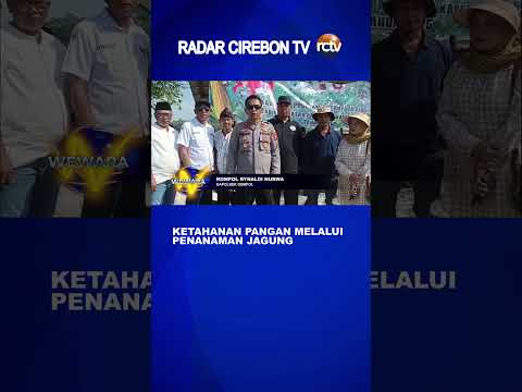 Ketahanan Pangan Melalui Penanaman Jagung