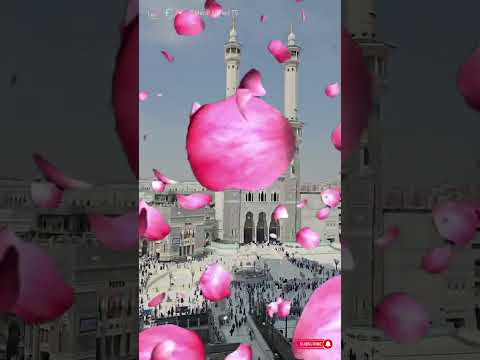 Dil kio darde hijr me kab tak rulaya jayega🕋💚✨ #islamic #video #محمد سيف الله والسلام