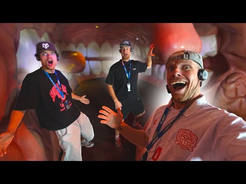 EnzoKnol