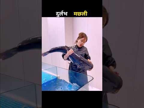 दुर्लभ मछली 😱 #aivideo #fascinatinginformation #amazingfacts #carpfishing #youtubeshorts
