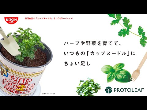 【カップヌードル 土だけ】ちょい足し野菜 栽培編