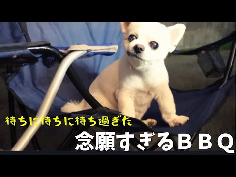 Coo Channelの最新動画 Youtubeランキング