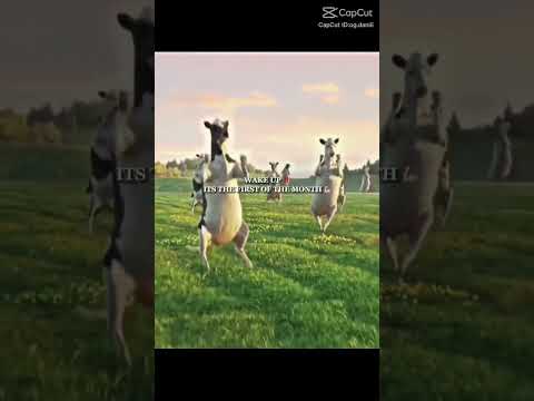 it's the first of the month #fypシ゚viral