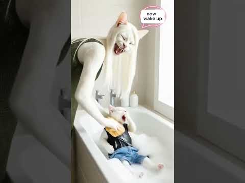 loved mobile more than his life #cat #littletots #realstory #RealStories #poorcat