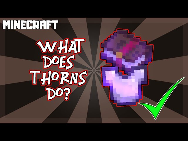 Thorns Minecraft Enchantment