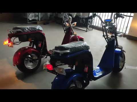 Electric Scooter citycoco motorcycle
