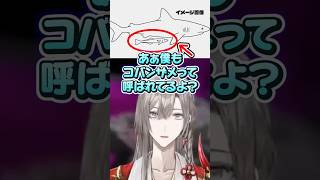 【三下】コバンザメ甲斐田 #サメ #コバンザメ #切り抜き