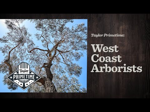 Andy Powers & West Coast Arborists | Taylor Primetime Episode 77
