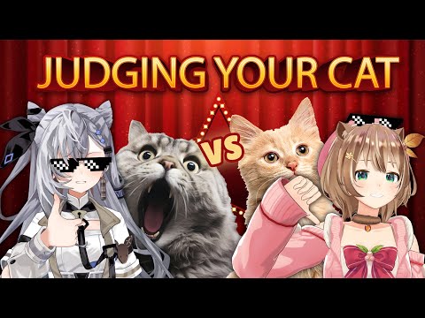 【YOUR CAT REVIEW】🐱We will say NYA or NYO to your cats!🐱 #NYAorNYO