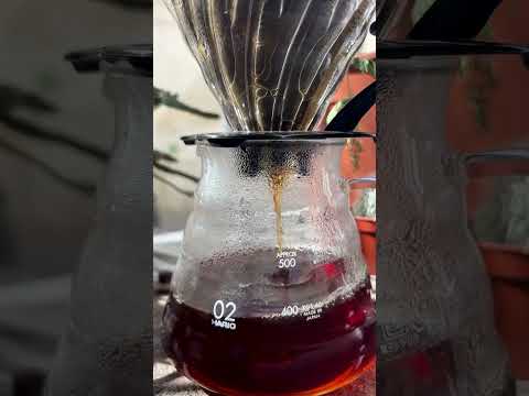 ☀️☀️☀️☀️