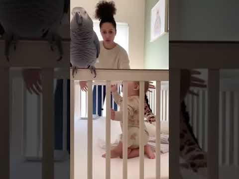 blague IA 🤣🤣🤣🤣