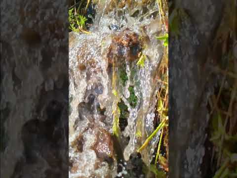 Mountain waterfall #nature #viral #shortvideos