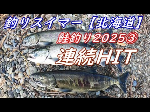 鮭釣り2025③~後半1時間で連続HIT~