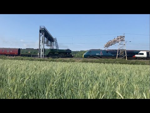 FLYING SCOTSMAN nearly BOWLED by PENDOLINO!