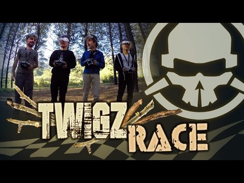 Twigz Race - UCemG3VoNCmjP8ucHR2YY7hw